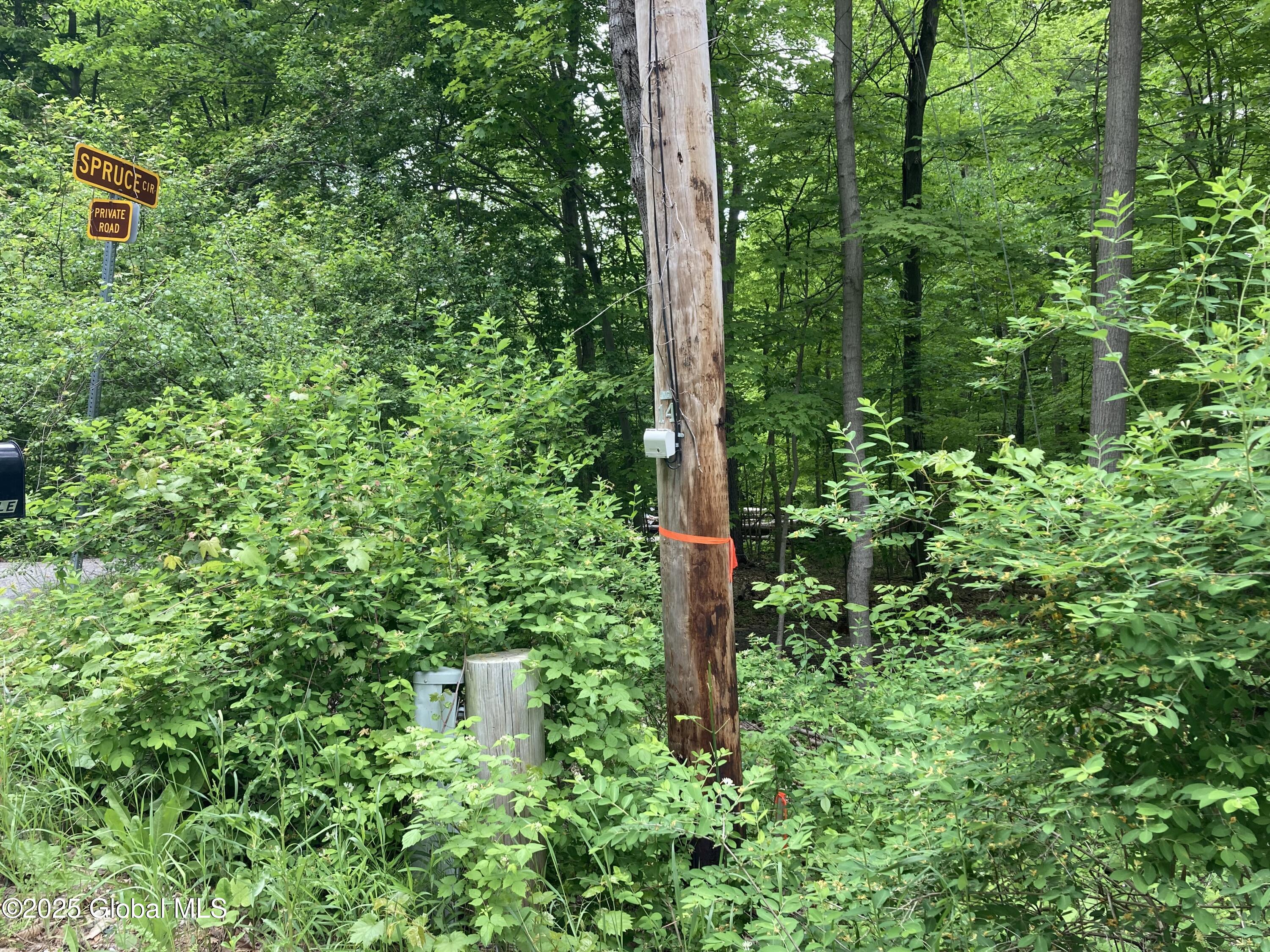 L3 Pine Springs Drive Ticonderoga NY 12883