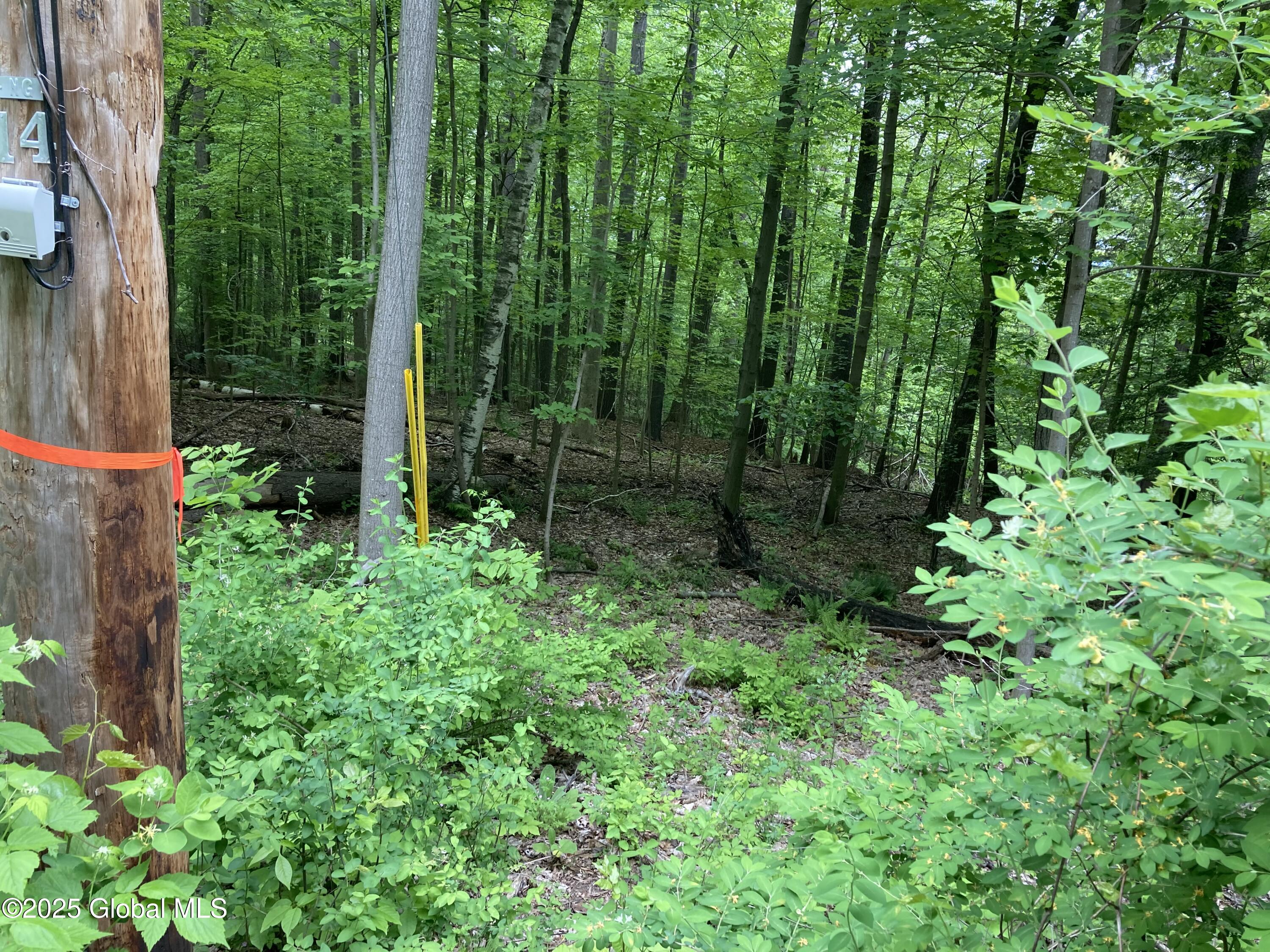 L3 Pine Springs Drive Ticonderoga NY 12883
