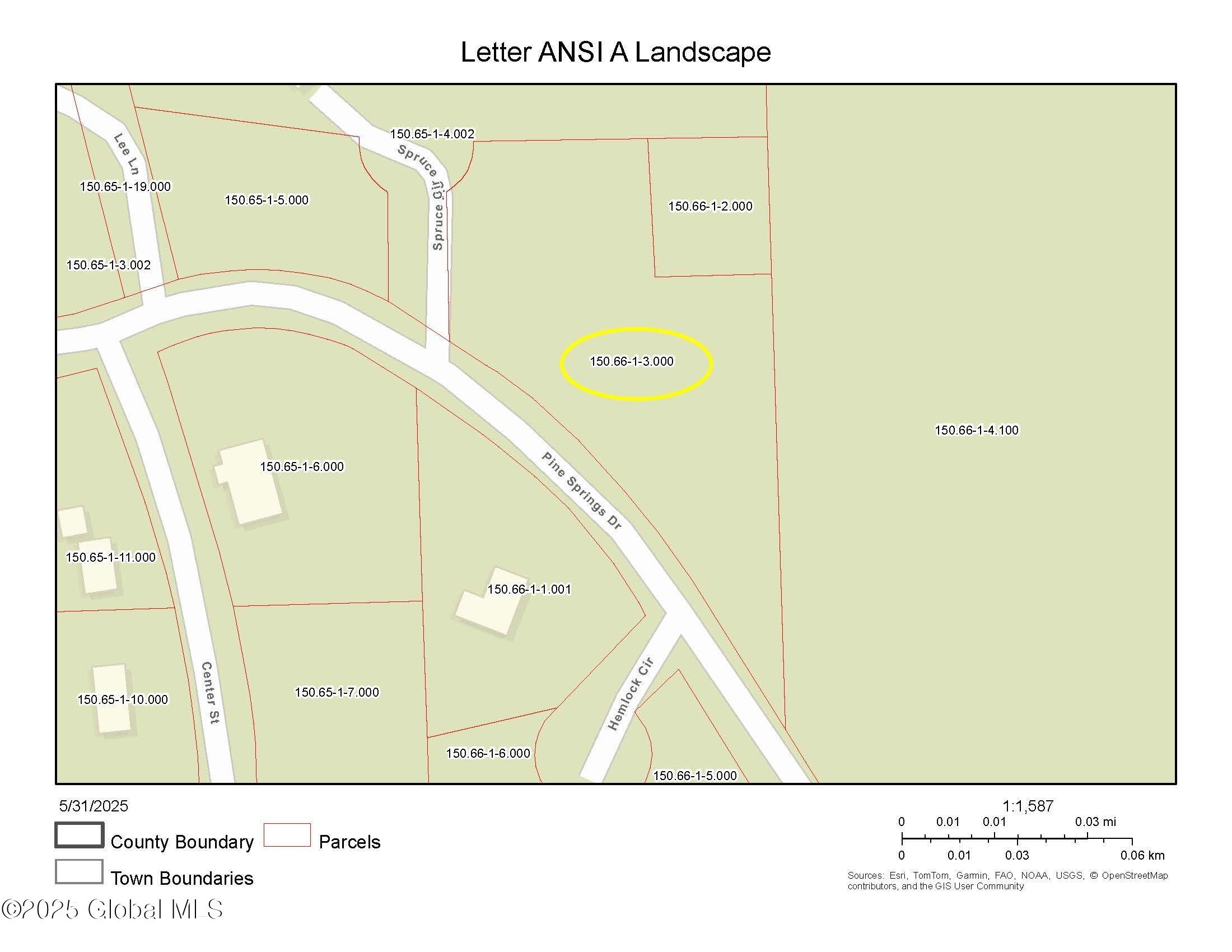 L3 Pine Springs Drive Ticonderoga NY 12883