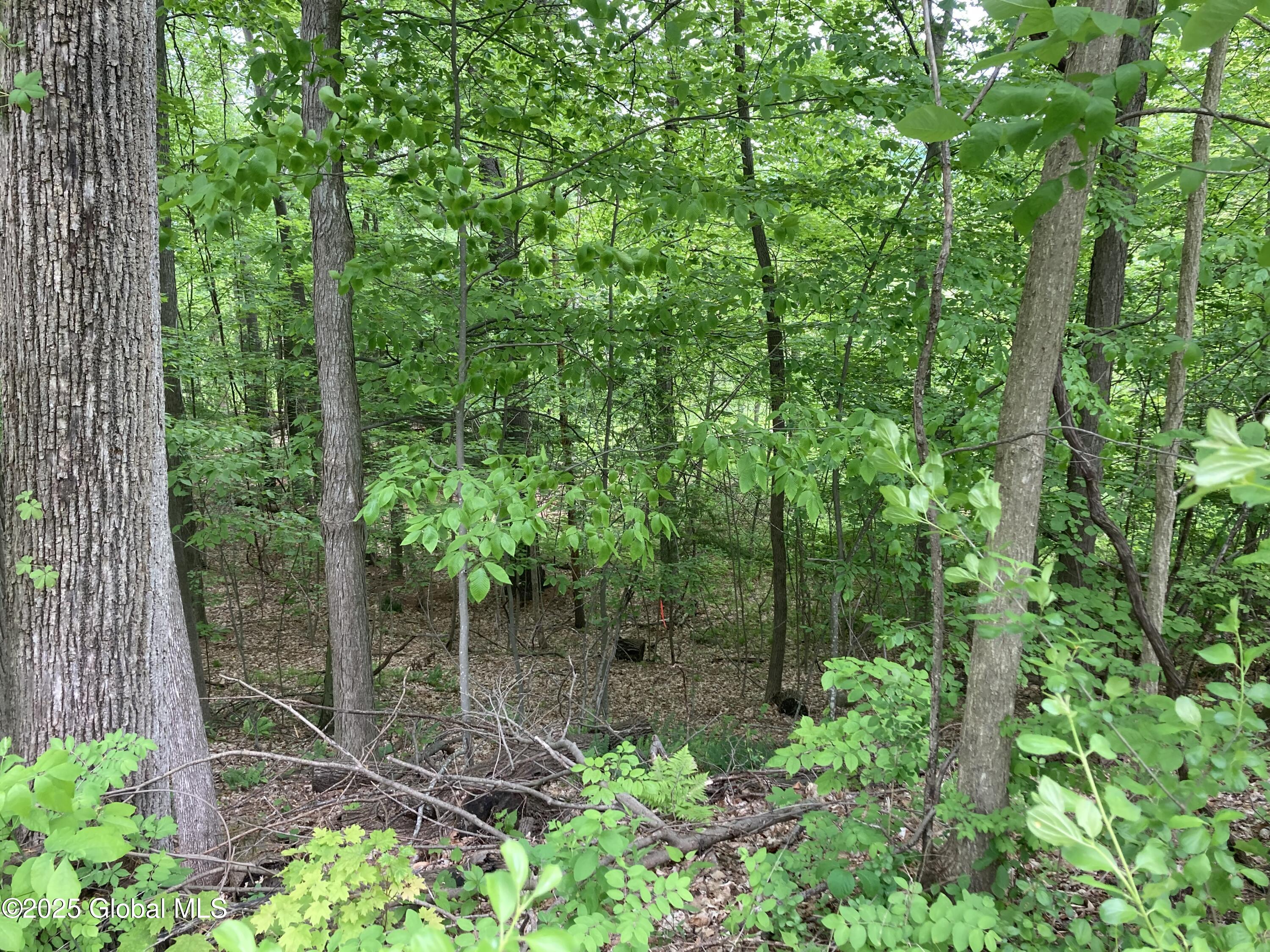 L3 Pine Springs Drive Ticonderoga NY 12883