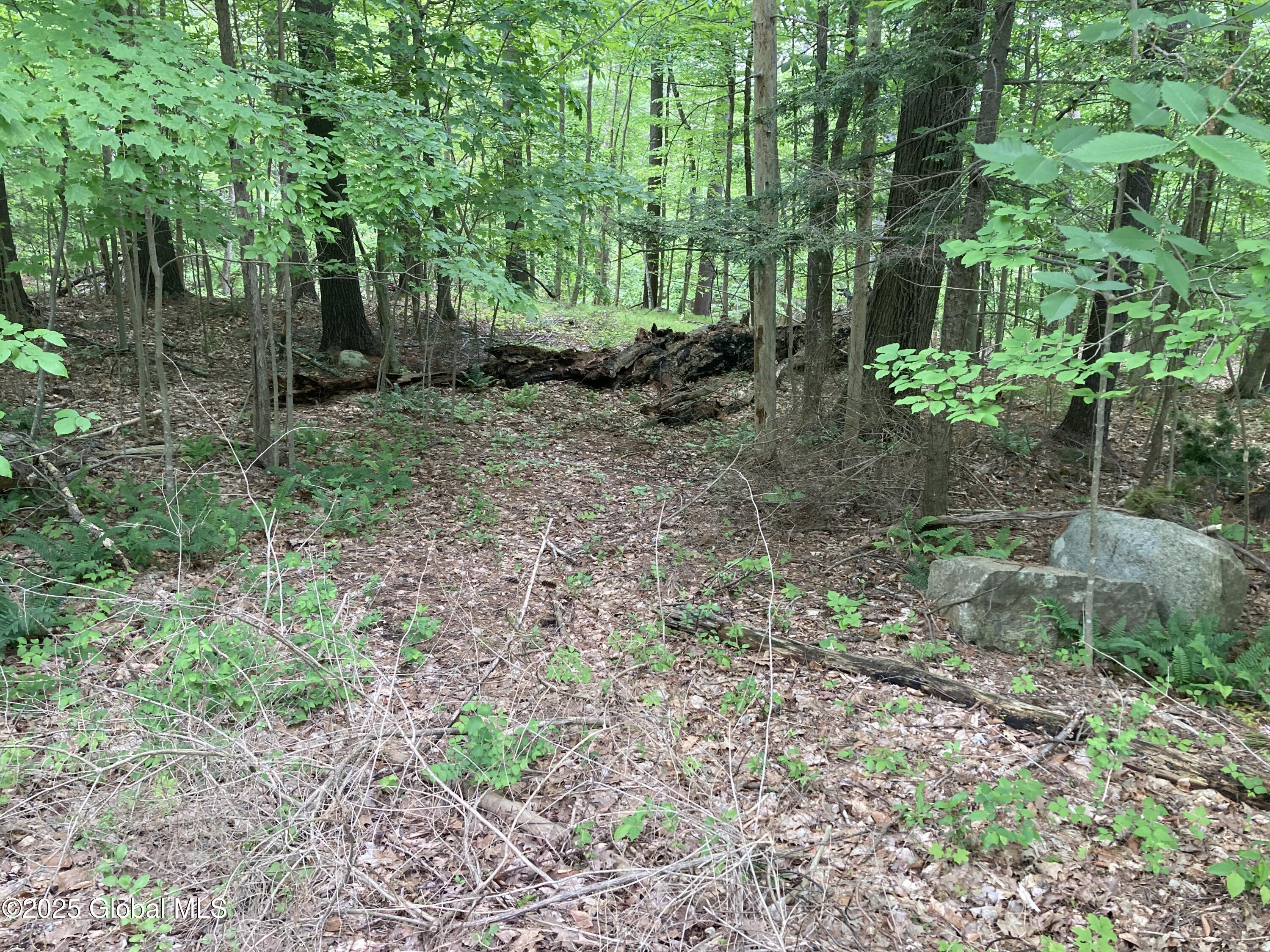 L3 Pine Springs Drive Ticonderoga NY 12883
