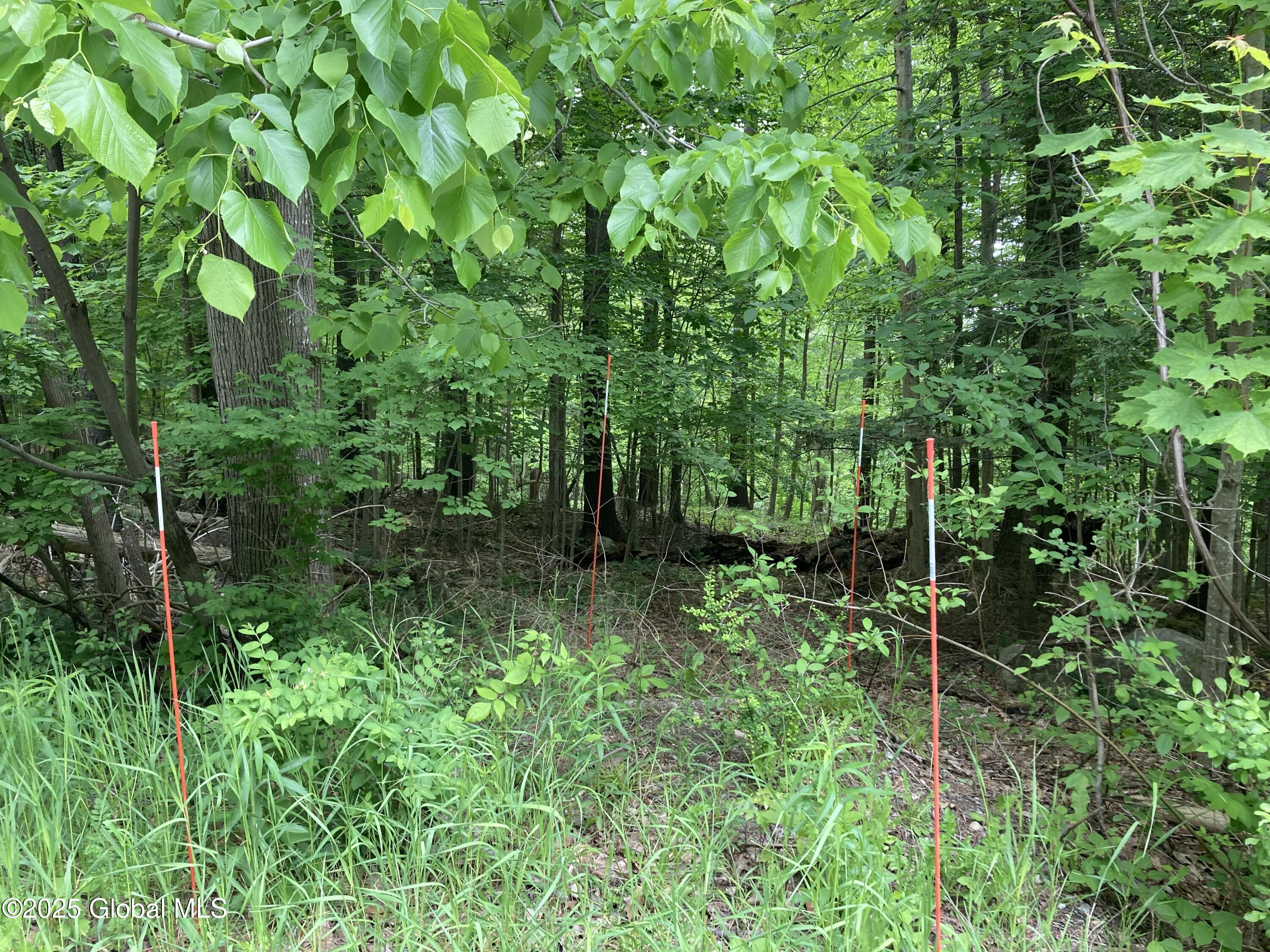 L3 Pine Springs Drive Ticonderoga NY 12883