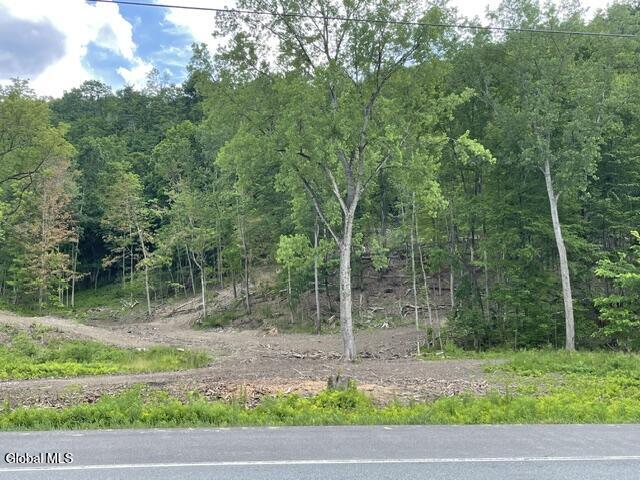 20419 State Route 22 Petersburgh NY 12138