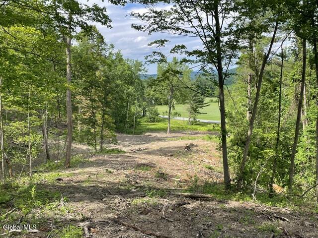 20419 State Route 22 Petersburgh NY 12138