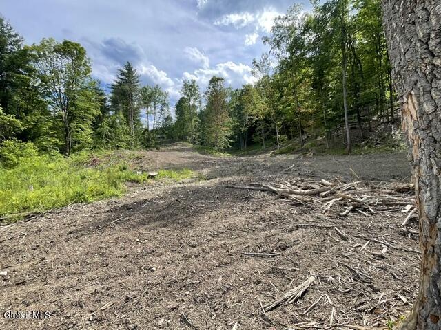 20419 State Route 22 Petersburgh NY 12138