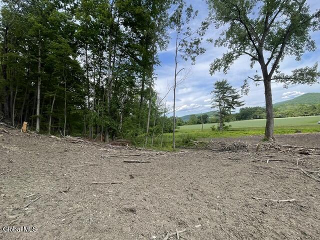 20419 State Route 22 Petersburgh NY 12138