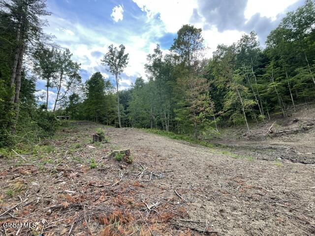 20419 State Route 22 Petersburgh NY 12138
