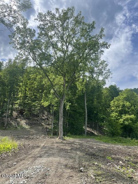 20419 State Route 22 Petersburgh NY 12138