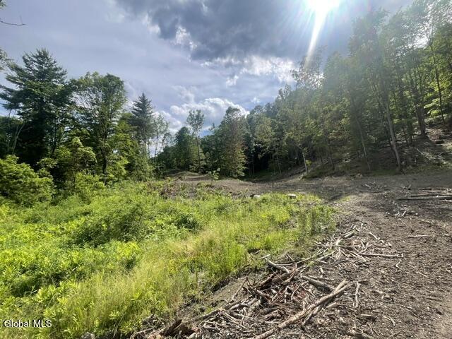 20419 State Route 22 Petersburgh NY 12138