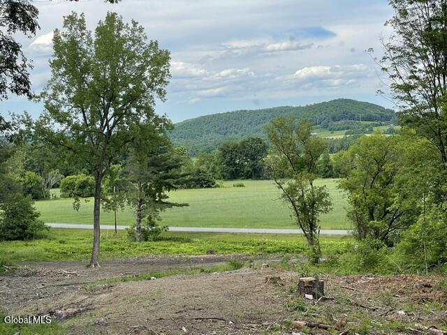 20419 State Route 22 Petersburgh NY 12138