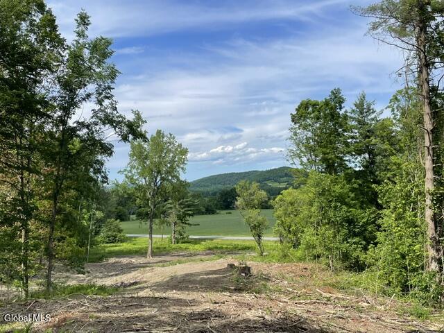 20419 State Route 22 Petersburgh NY 12138