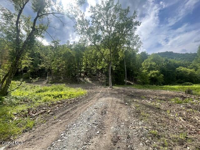20419 State Route 22 Petersburgh NY 12138