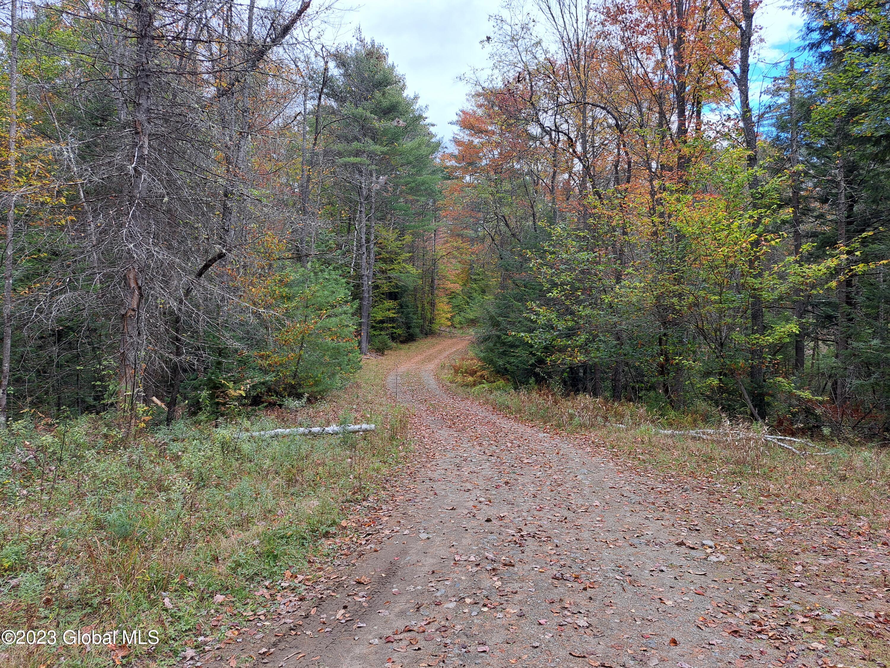 L 13.2 Friends Lake Road Chestertown NY 12817