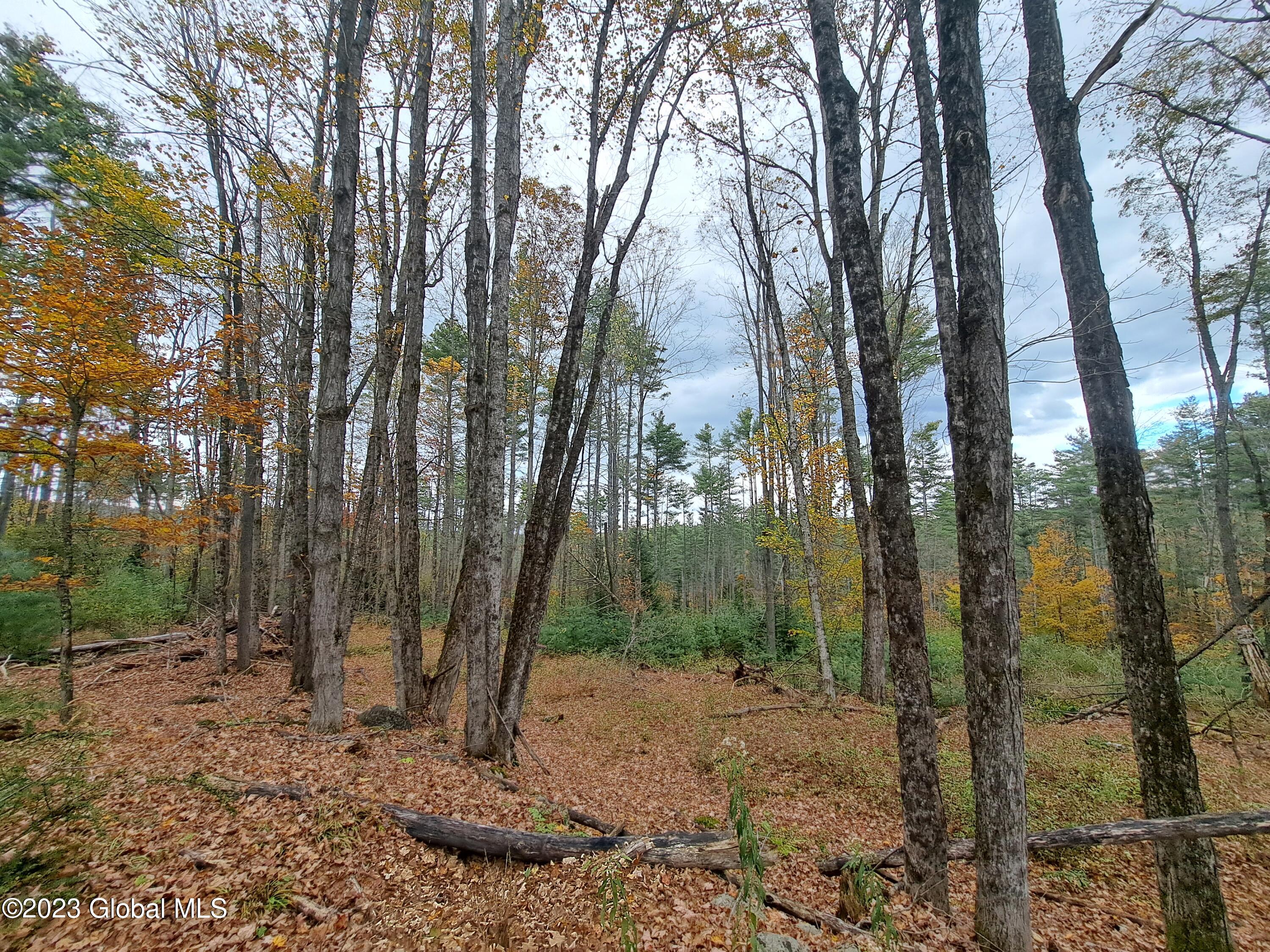 L 13.2 Friends Lake Road Chestertown NY 12817