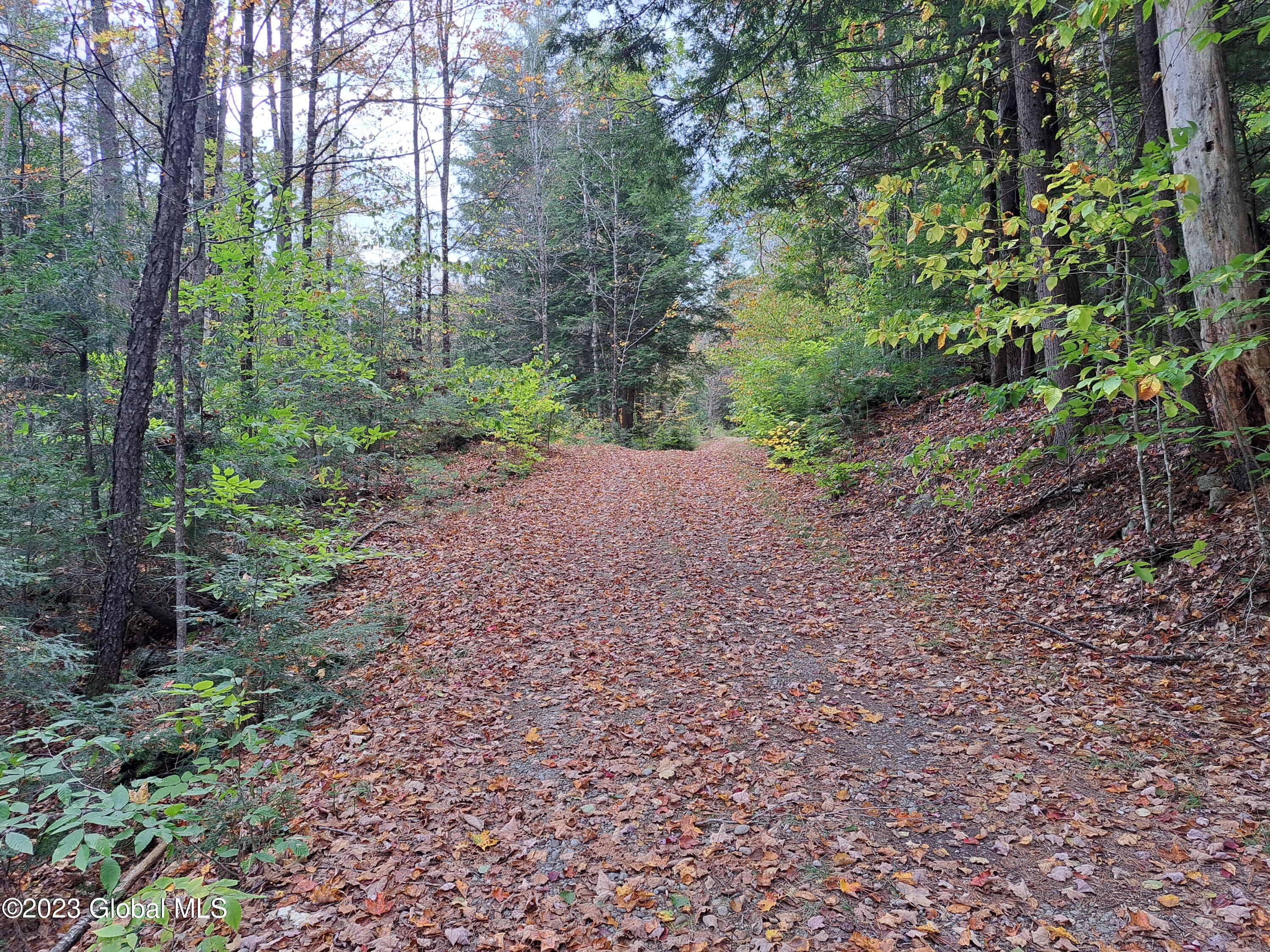 L 13.2 Friends Lake Road Chestertown NY 12817
