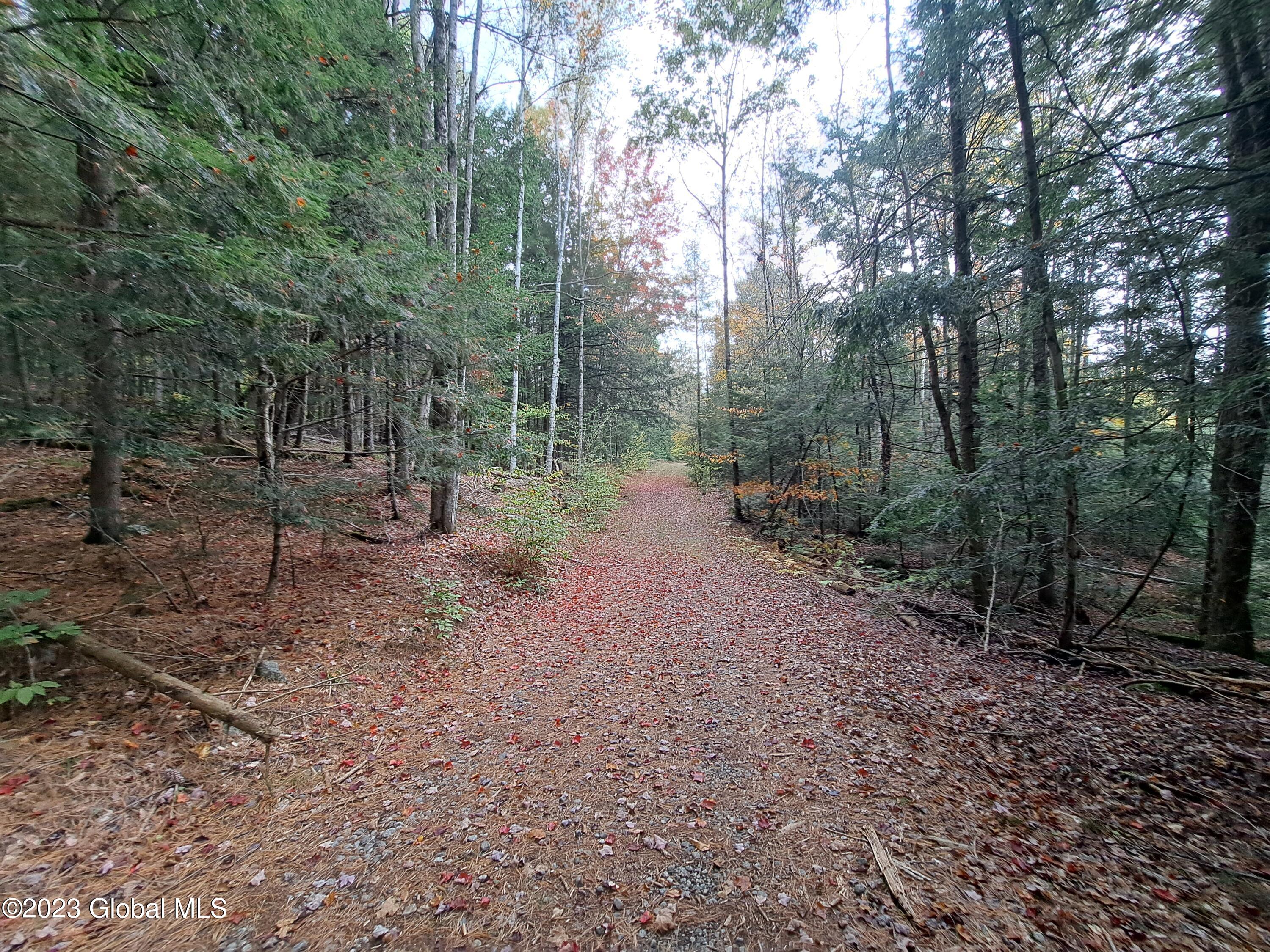 L 13.2 Friends Lake Road Chestertown NY 12817