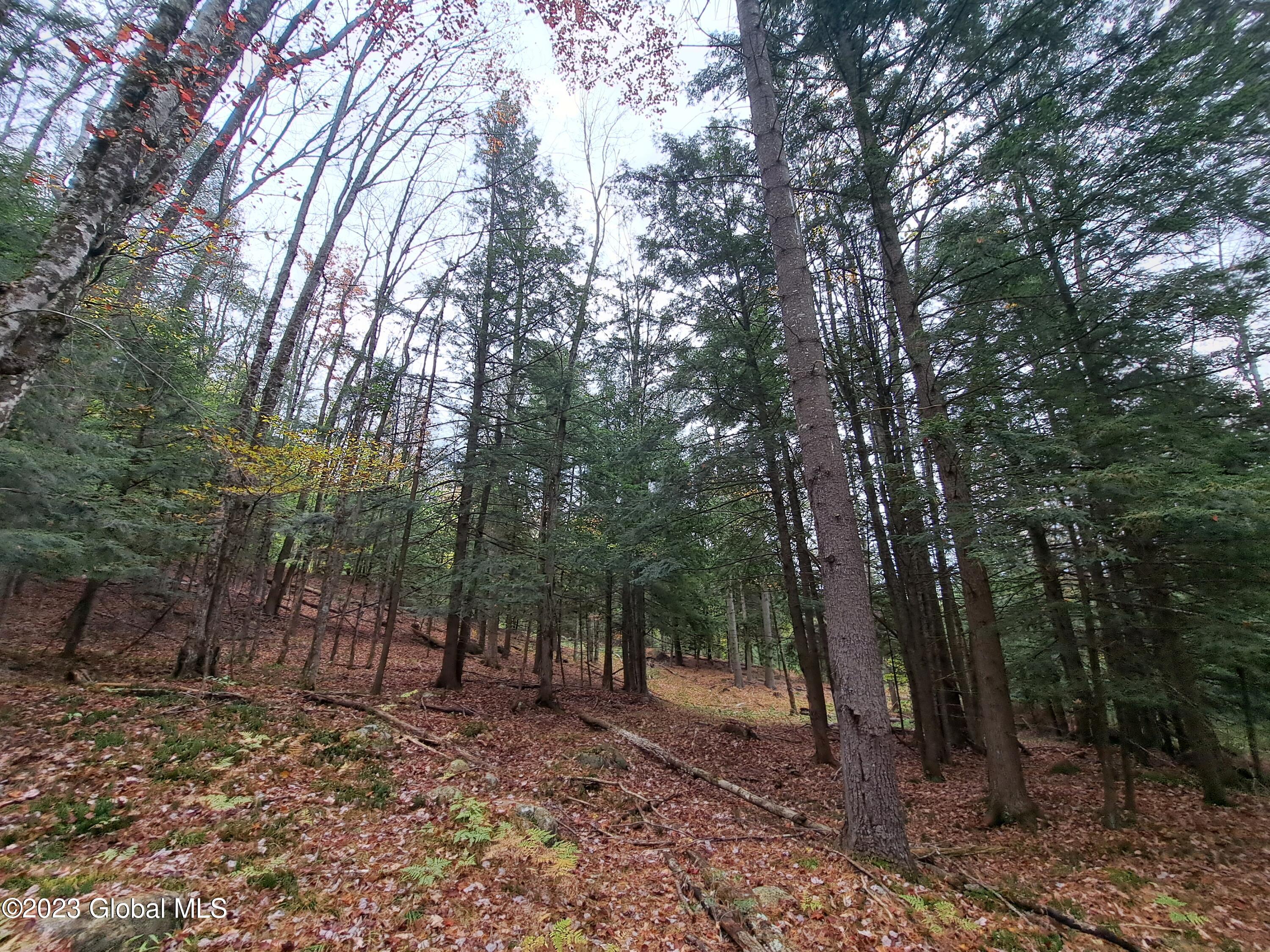 L 13.2 Friends Lake Road Chestertown NY 12817