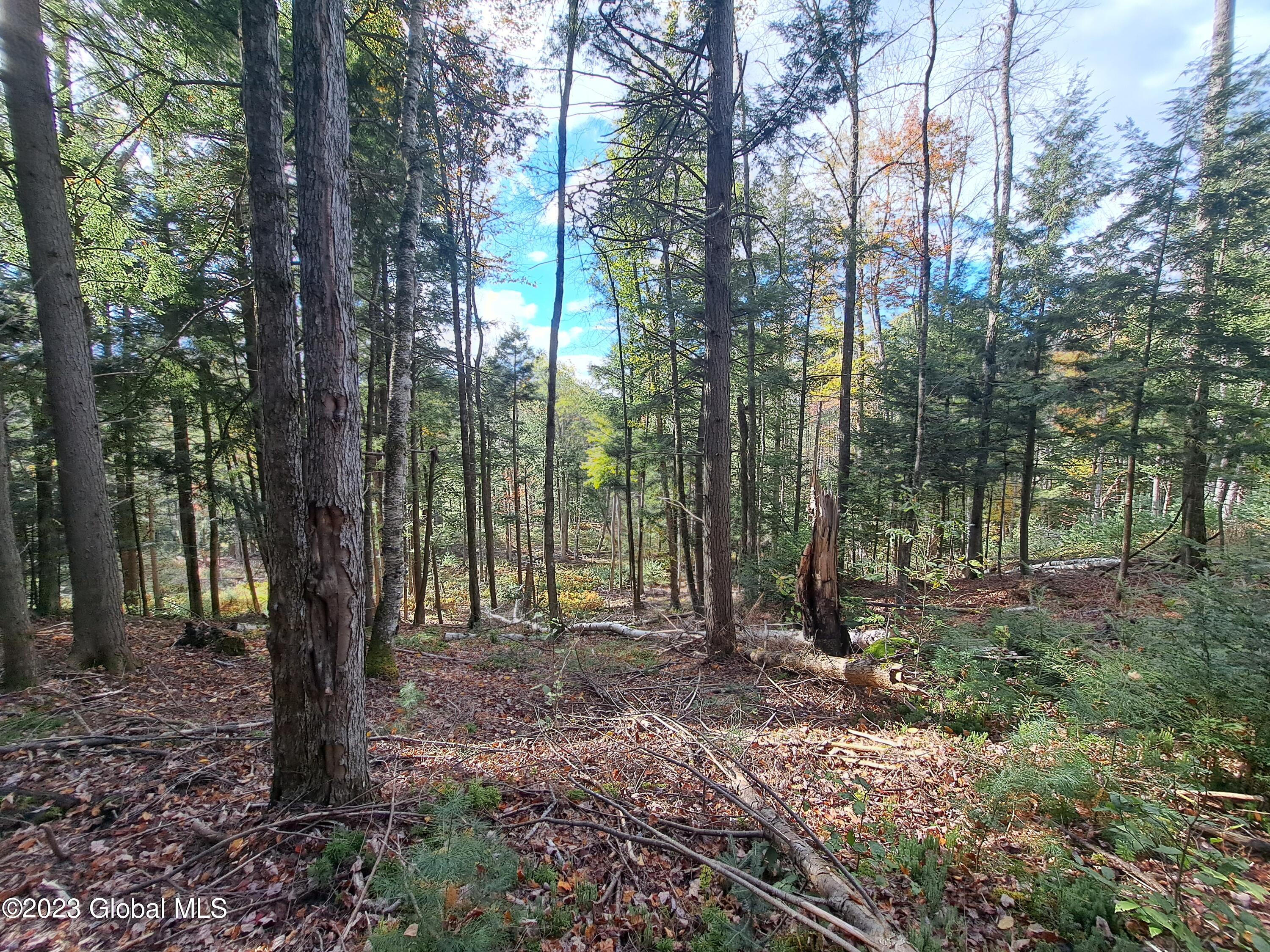 L 13.2 Friends Lake Road Chestertown NY 12817