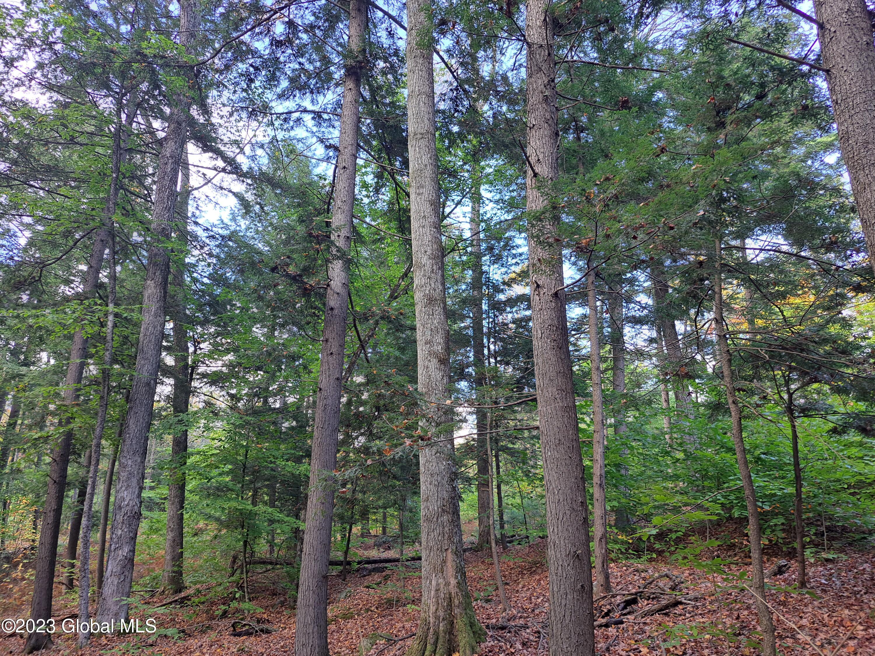 L 13.2 Friends Lake Road Chestertown NY 12817