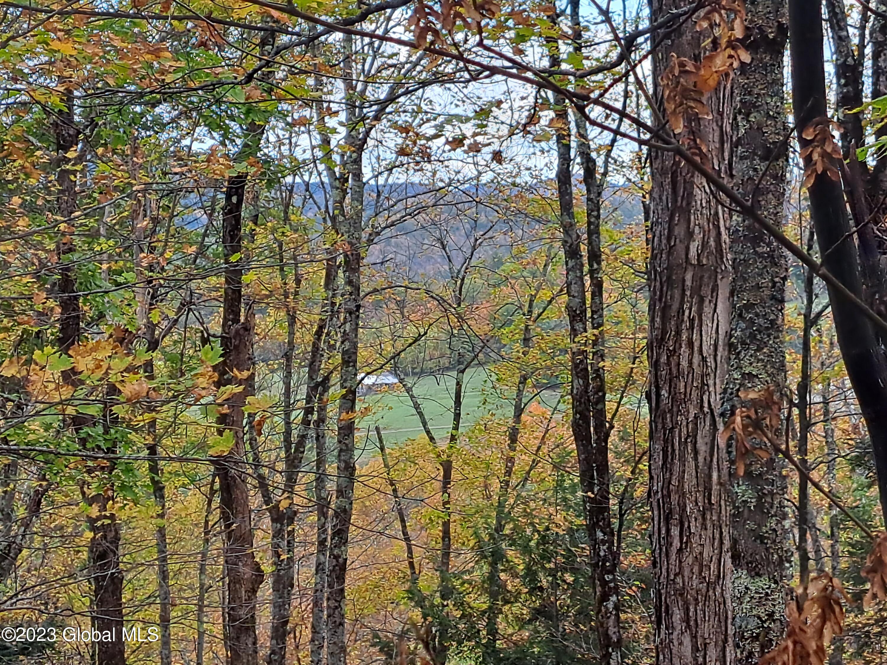 L 13.2 Friends Lake Road Chestertown NY 12817