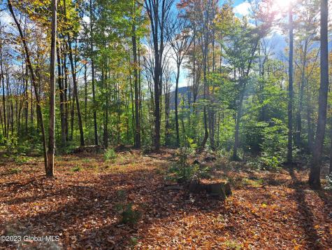 L 13.2 Friends Lake Road Chestertown NY 12817