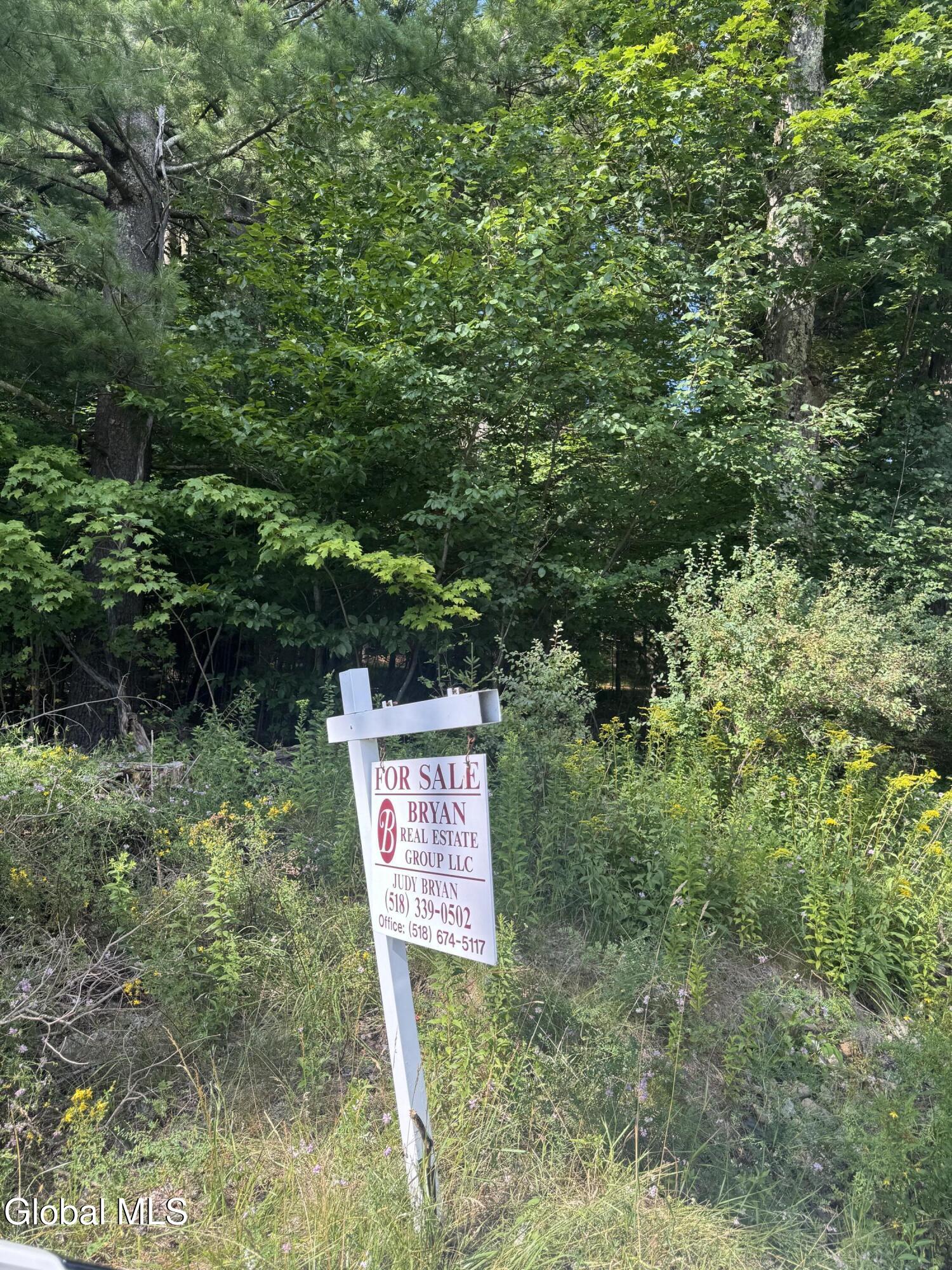 2005 Plank Road Petersburgh NY 12138