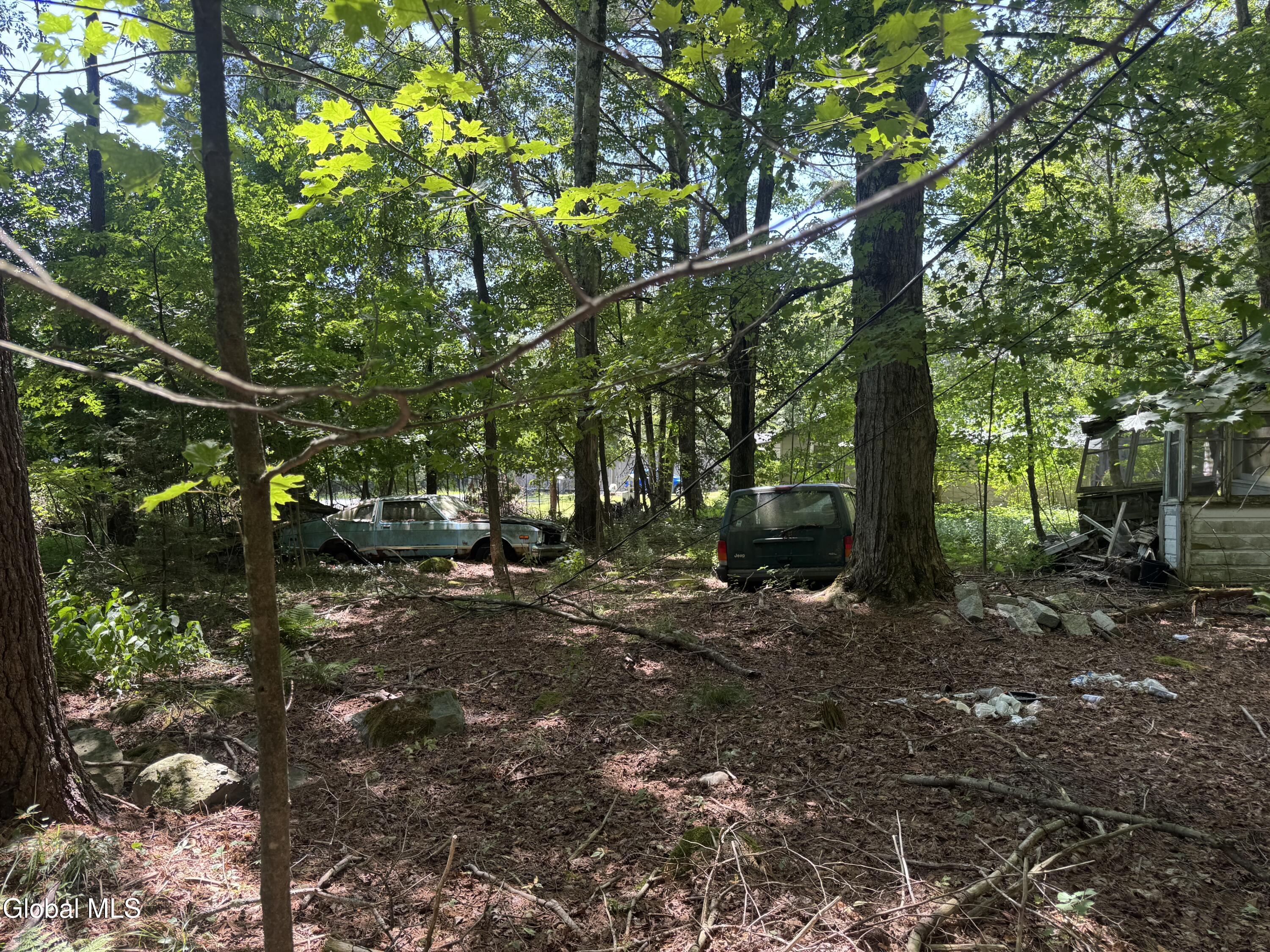 2005 Plank Road Petersburgh NY 12138