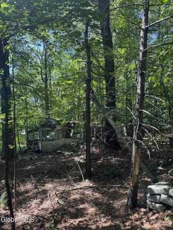 2005 Plank Road Petersburgh NY 12138