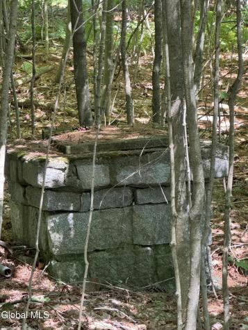 2005 Plank Road Petersburgh NY 12138