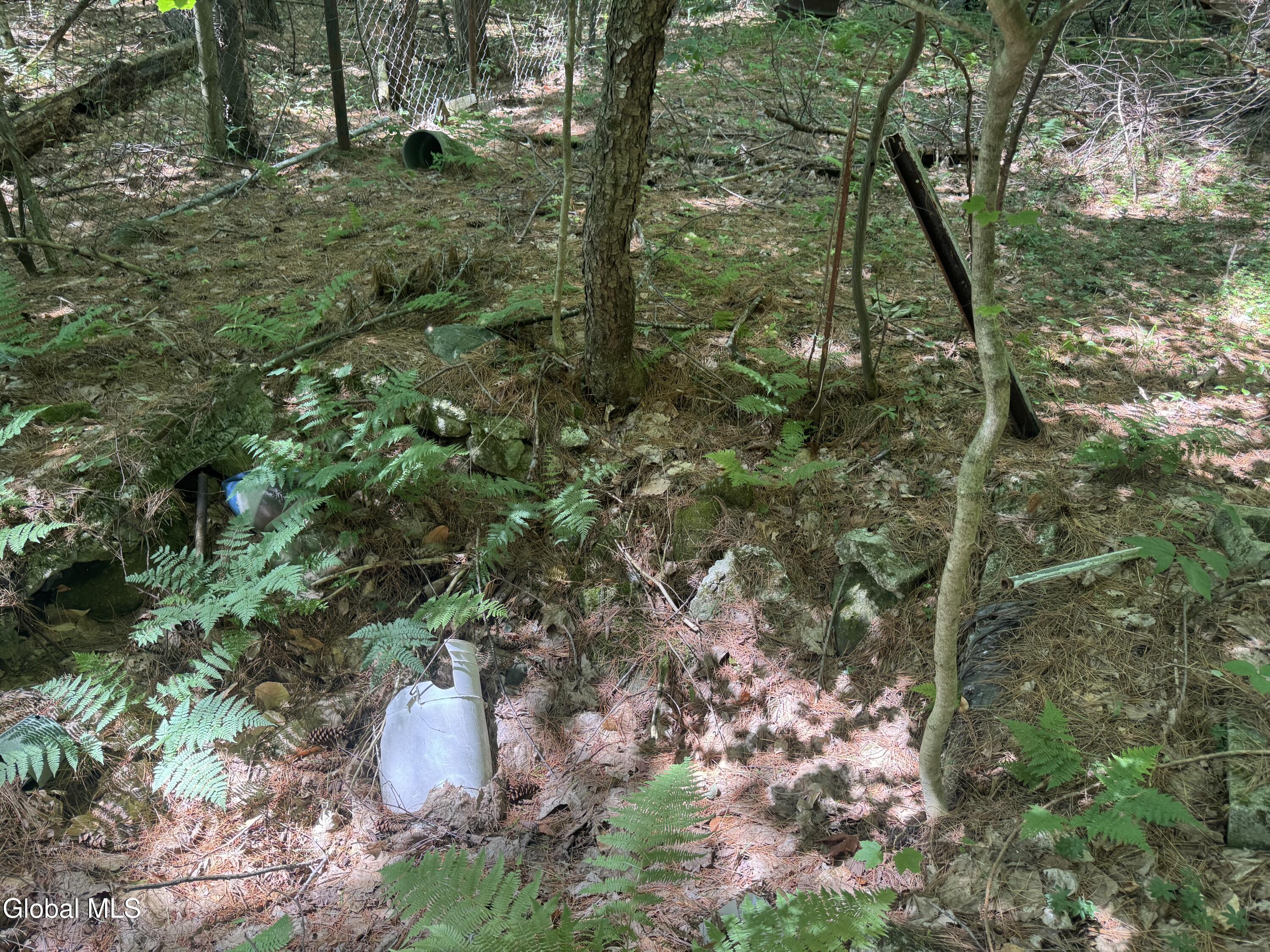 2005 Plank Road Petersburgh NY 12138