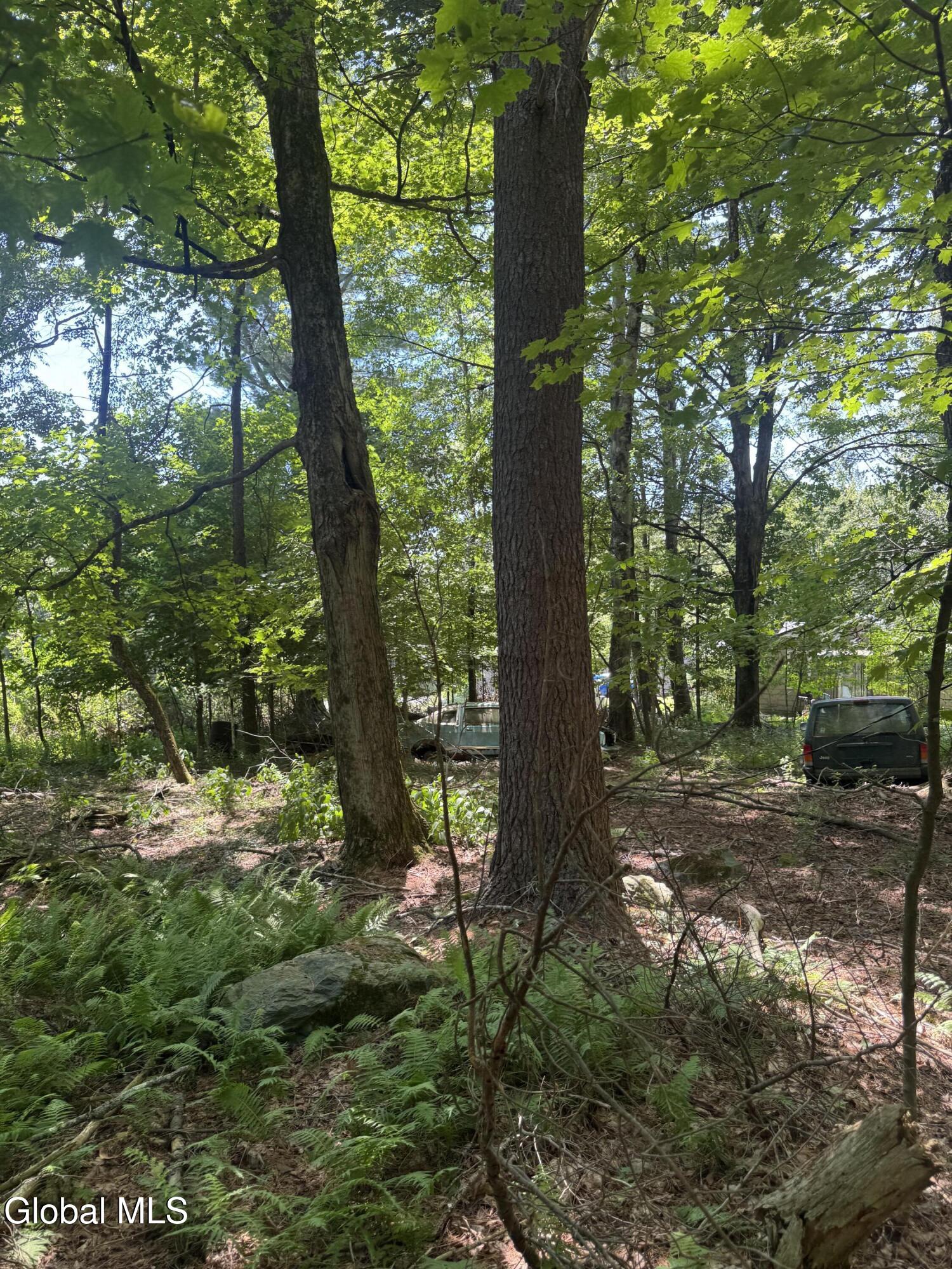 2005 Plank Road Petersburgh NY 12138