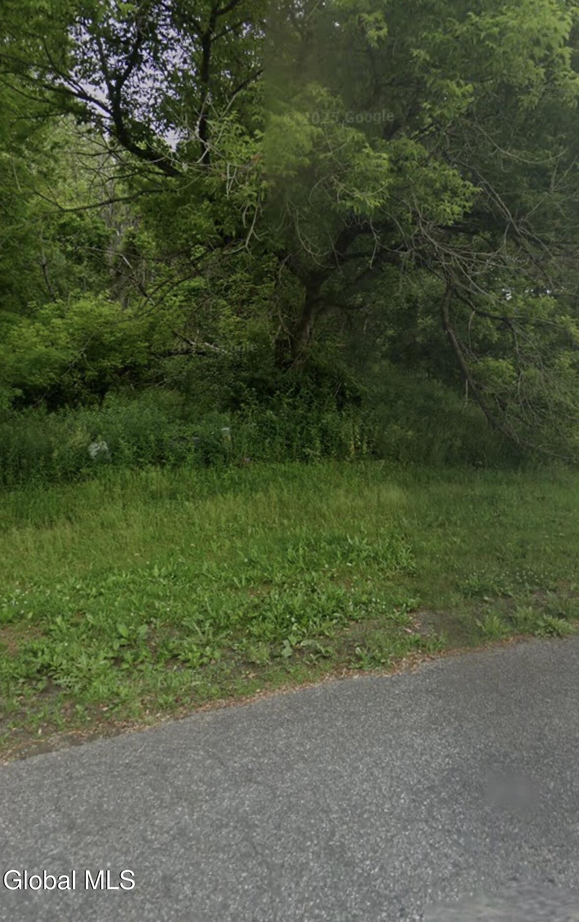 L61 Hannacreek Road Coeymans NY 12143