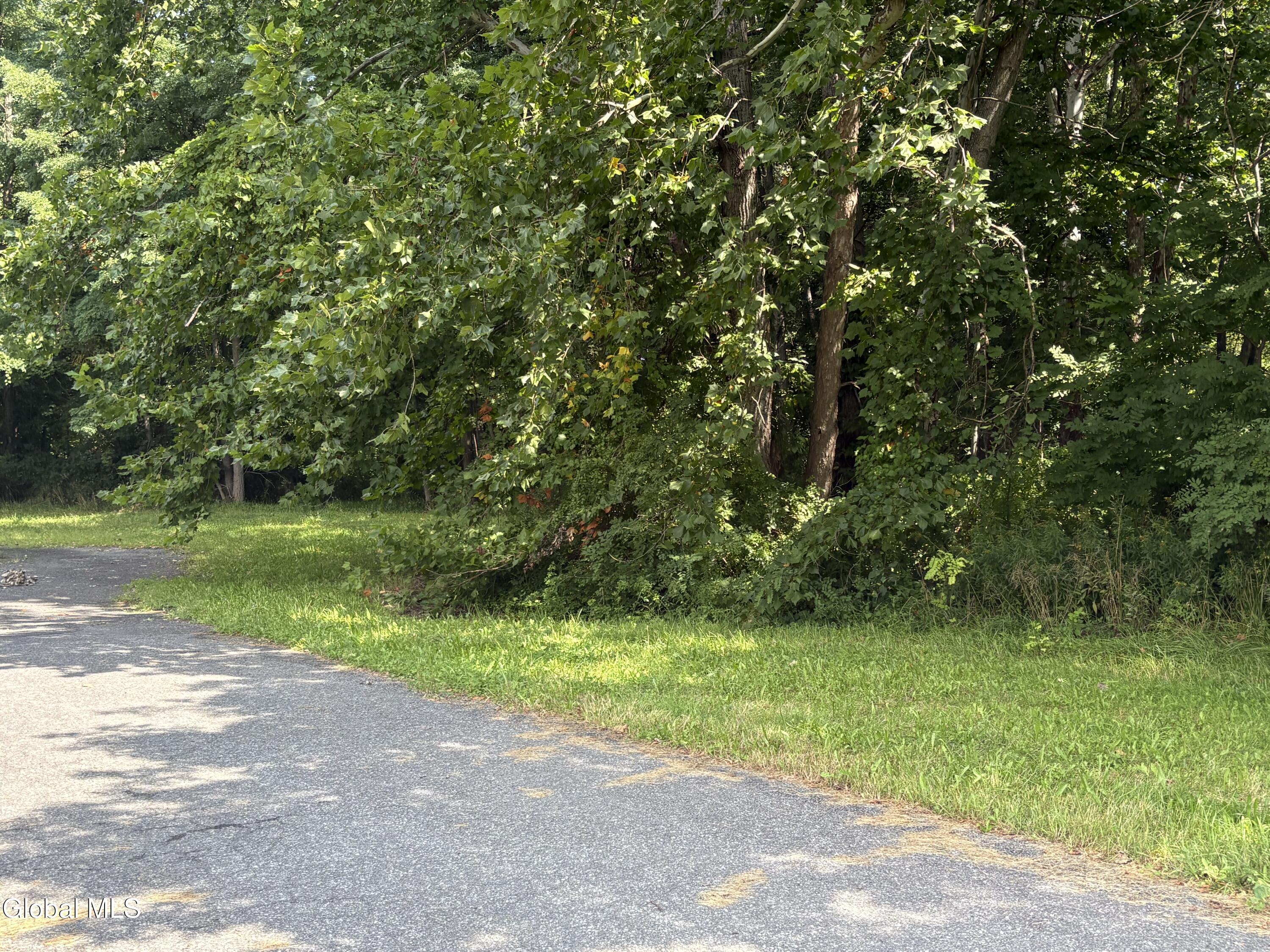 L61 Hannacreek Road Coeymans NY 12143