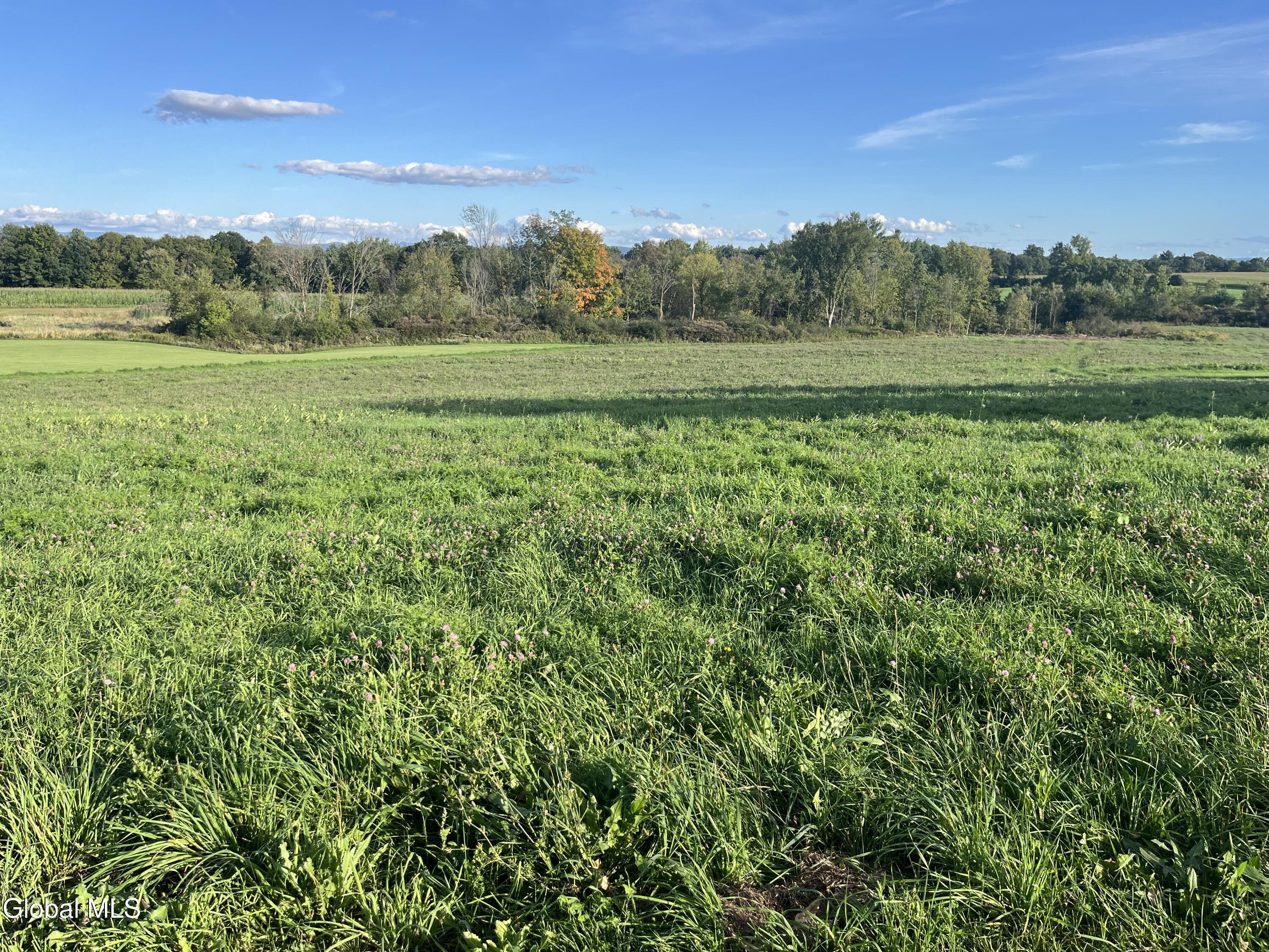 L4.15 Mattison Road Fort Ann NY 12827