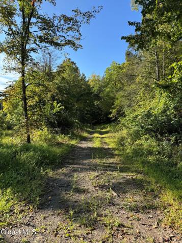 L2 High Rock Road Hannacroix NY 12087