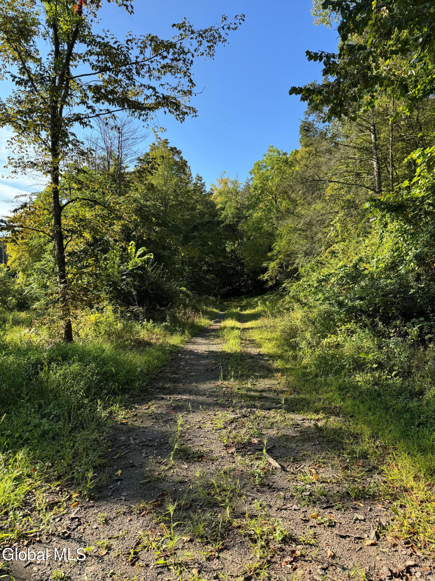 L2 High Rock Road Hannacroix NY 12087