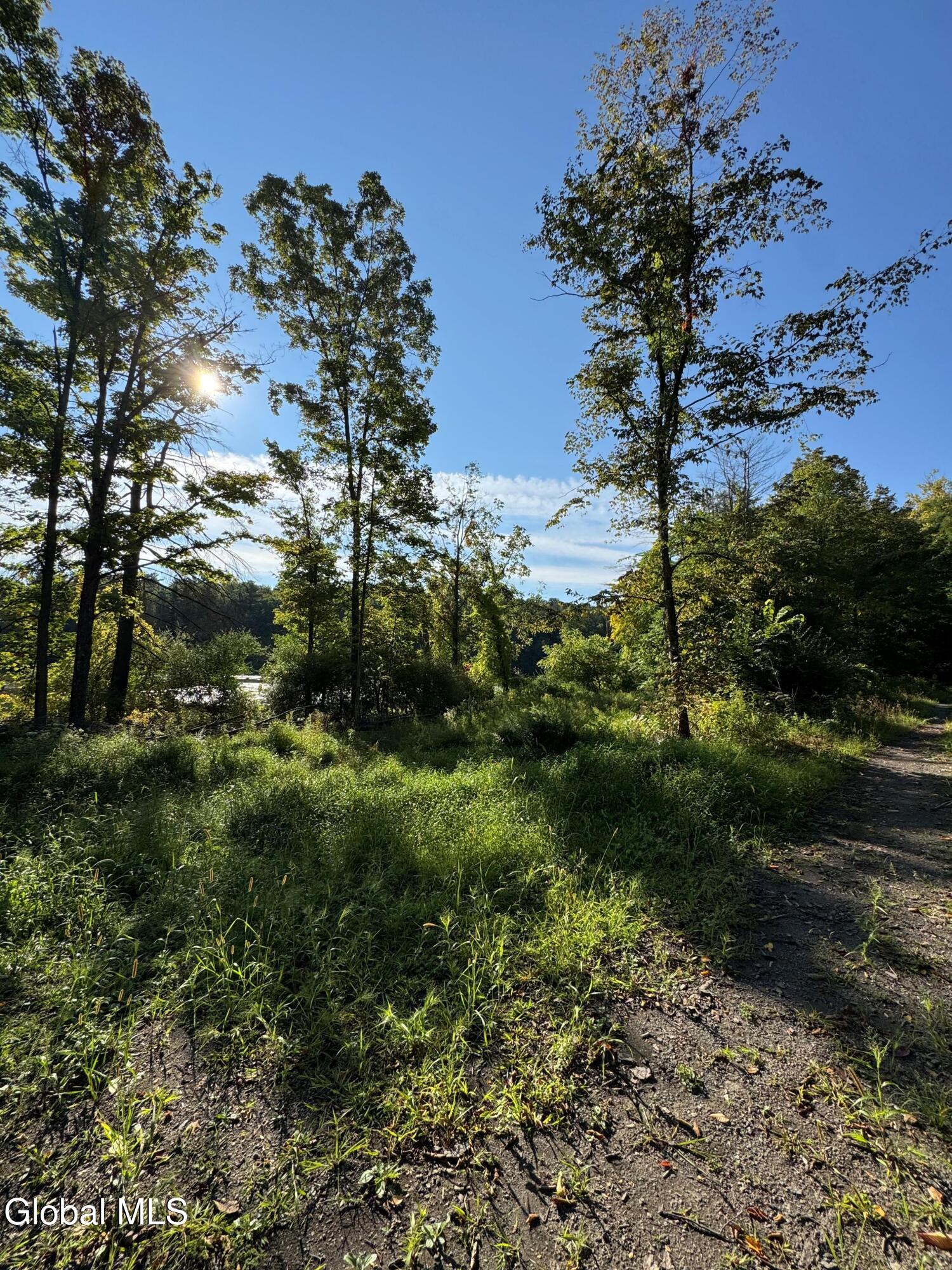 L2 High Rock Road Hannacroix NY 12087