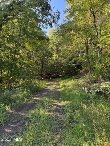 L2 High Rock Road Hannacroix NY 12087