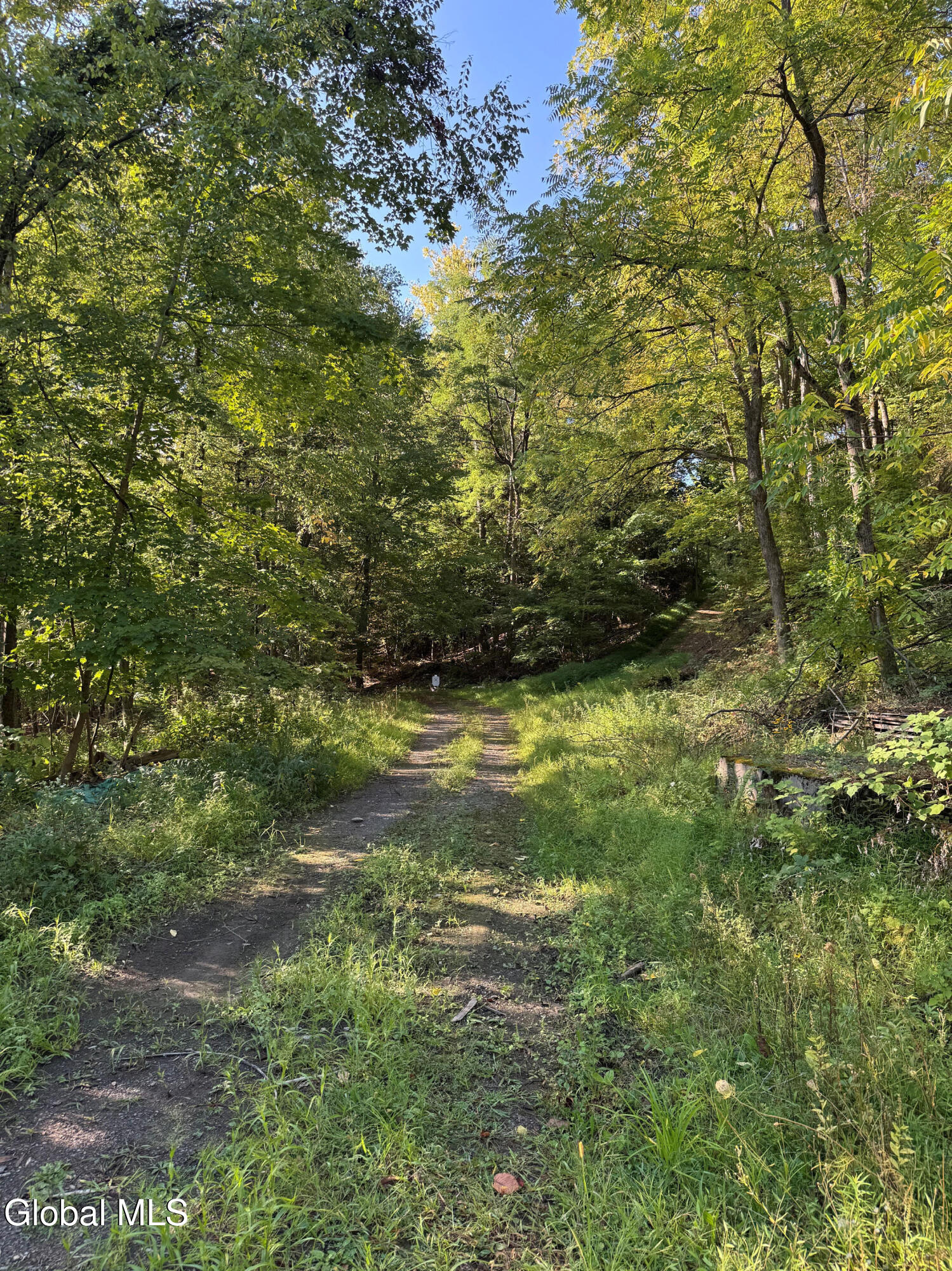 L2 High Rock Road Hannacroix NY 12087