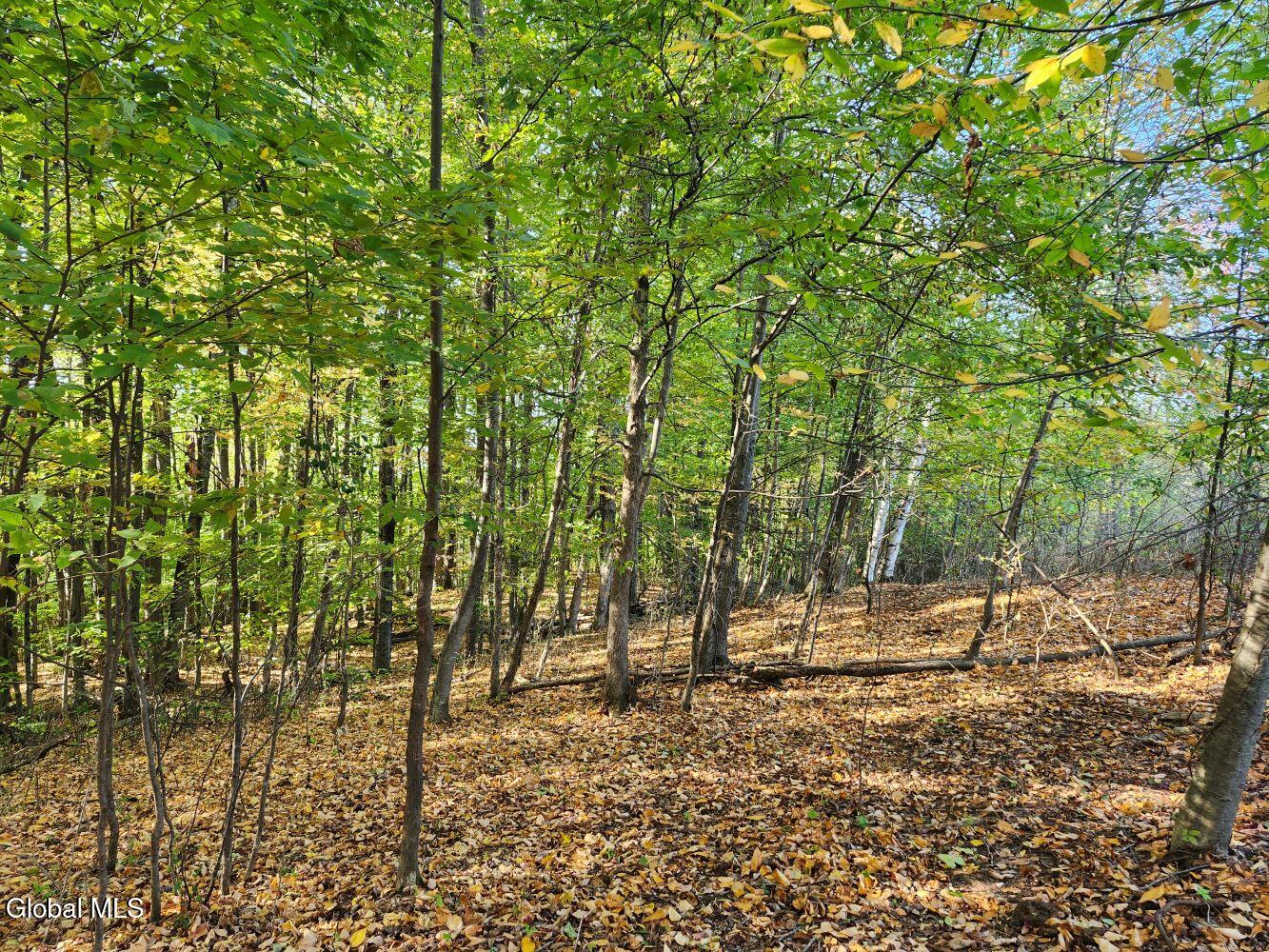 L4 Coot Hill Road Argyle NY 12809