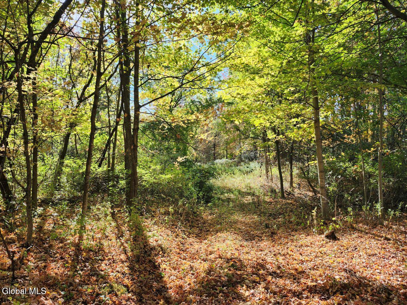 L4 Coot Hill Road Argyle NY 12809