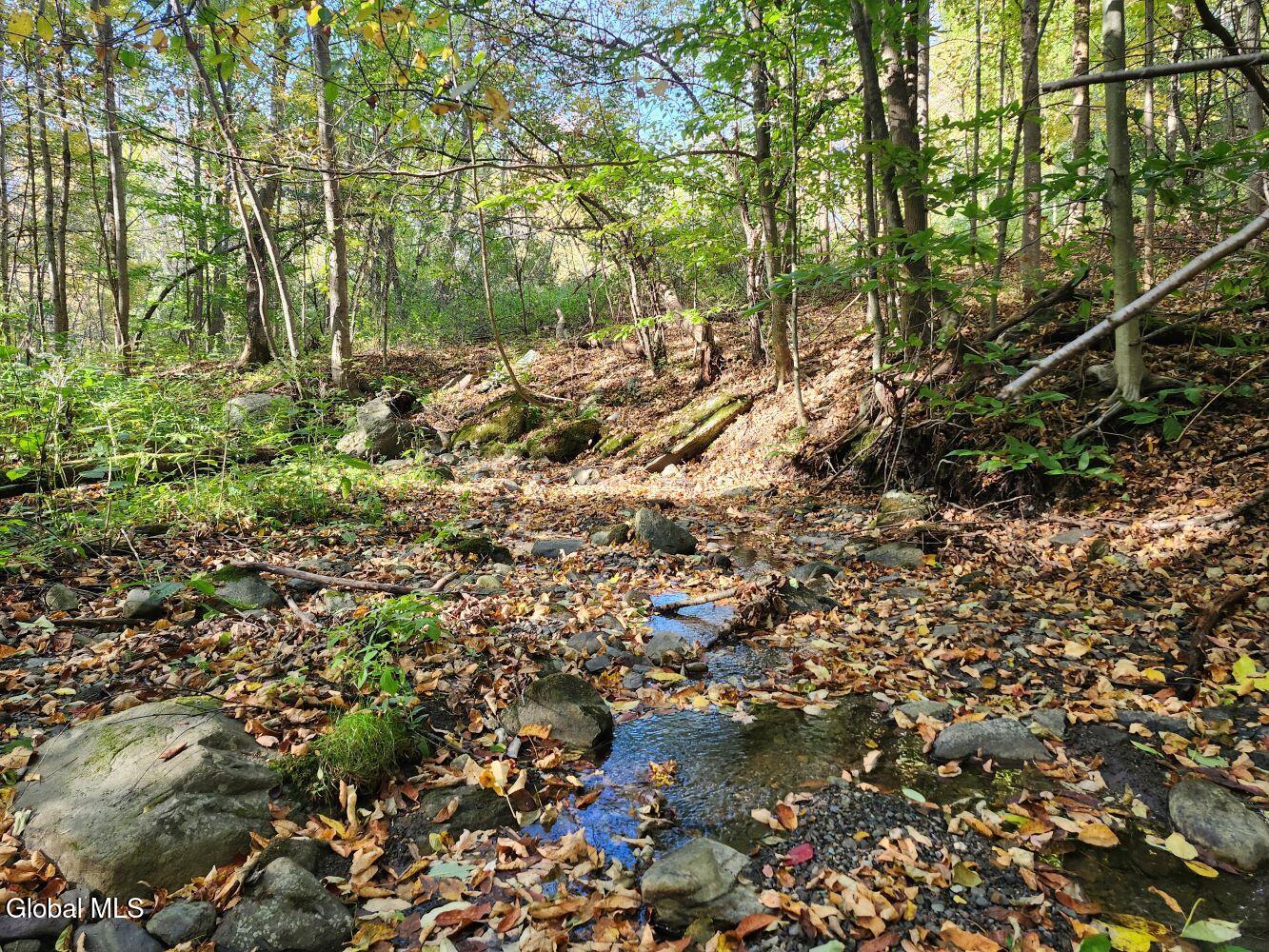 L4 Coot Hill Road Argyle NY 12809