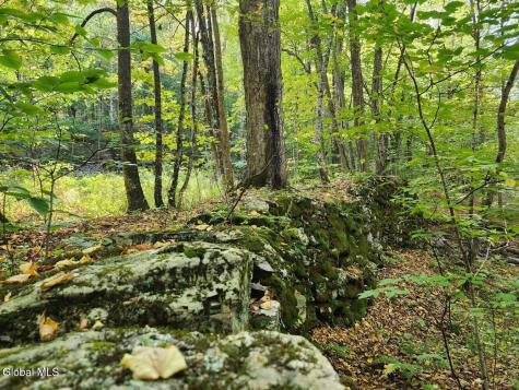 L4 Coot Hill Road Argyle NY 12809