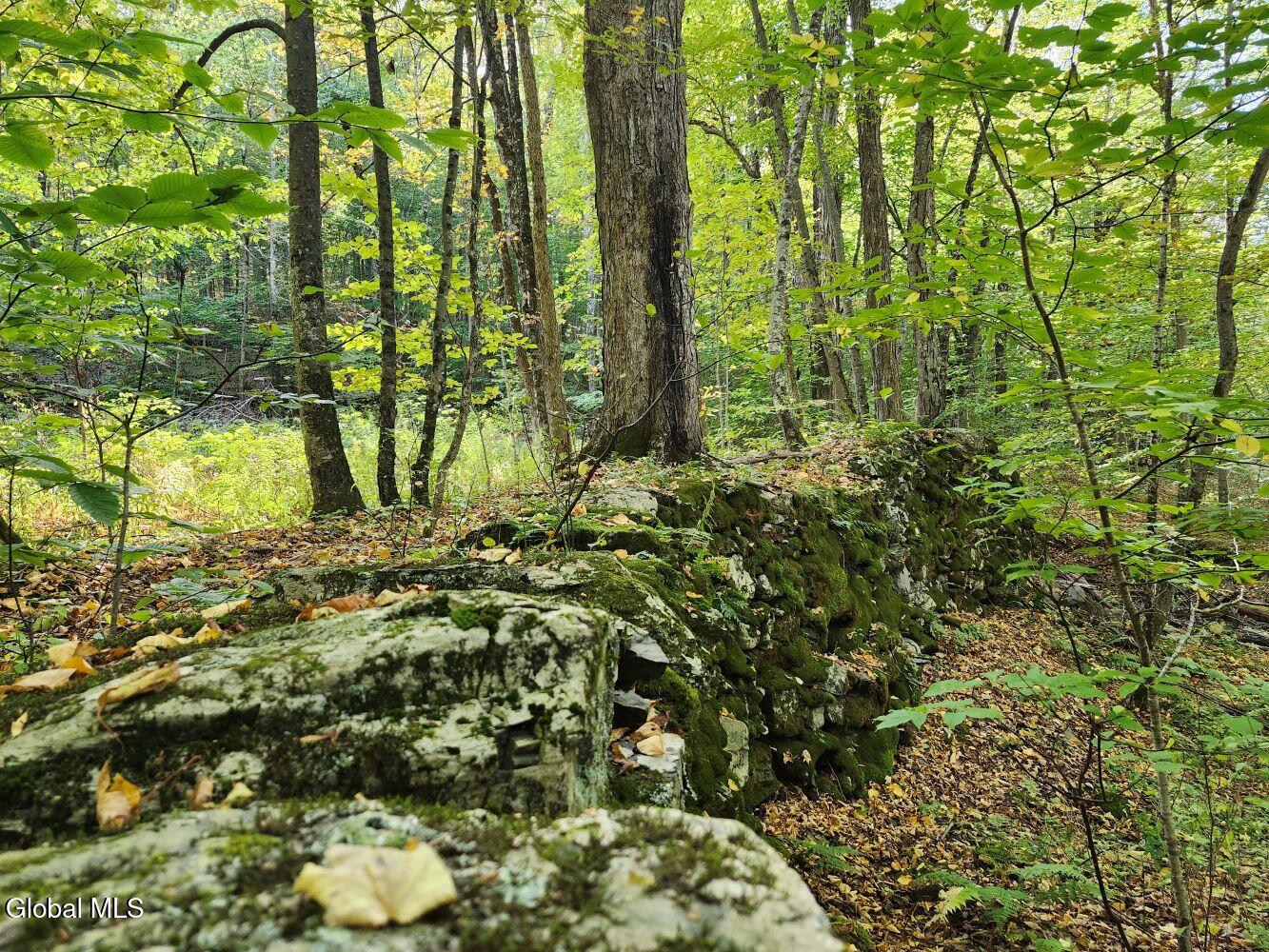 L4 Coot Hill Road Argyle NY 12809