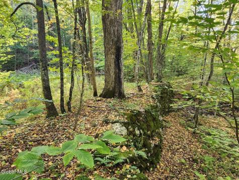 L4 Coot Hill Road Argyle NY 12809