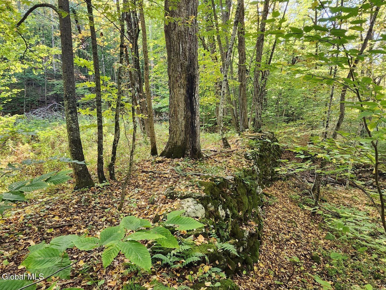 L4 Coot Hill Road Argyle NY 12809