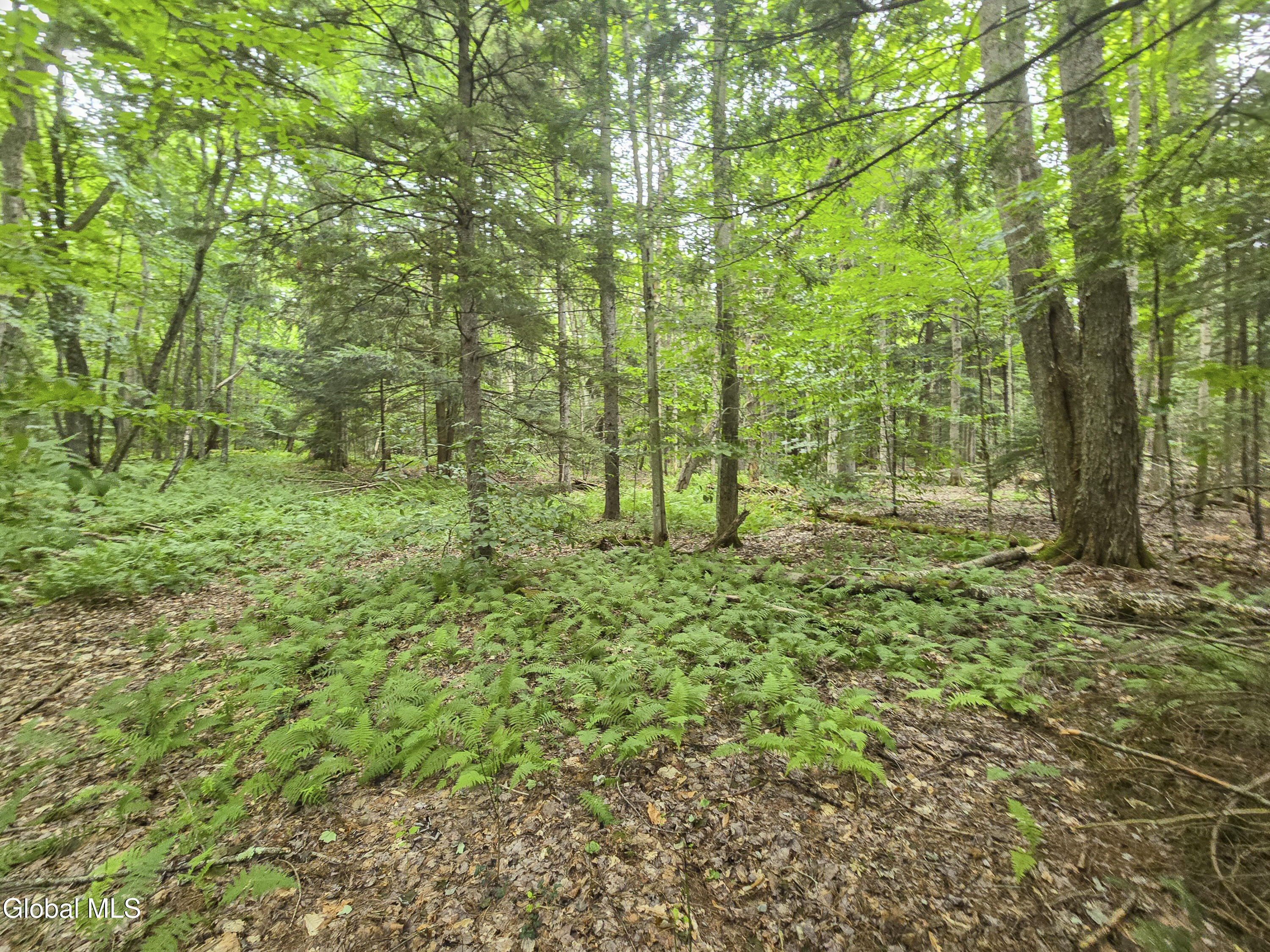 L13 New York 29a Stratford NY 13470