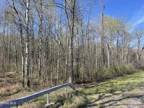 Lot 26 Highway Route 20 Sharon Springs NY 13459