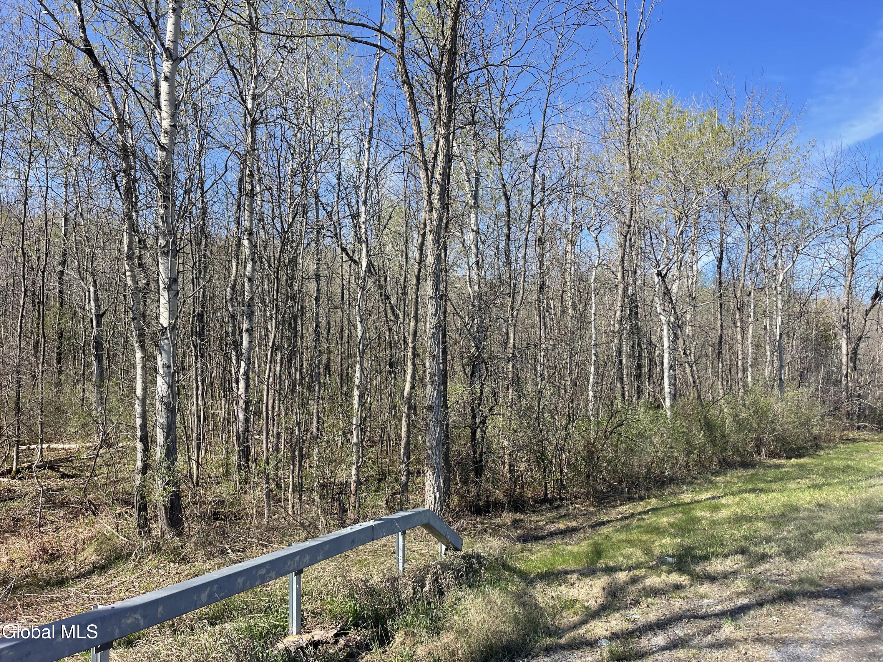Lot 26 Highway Route 20 Sharon Springs NY 13459