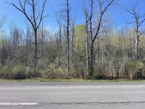 Lot 26 Highway Route 20 Sharon Springs NY 13459